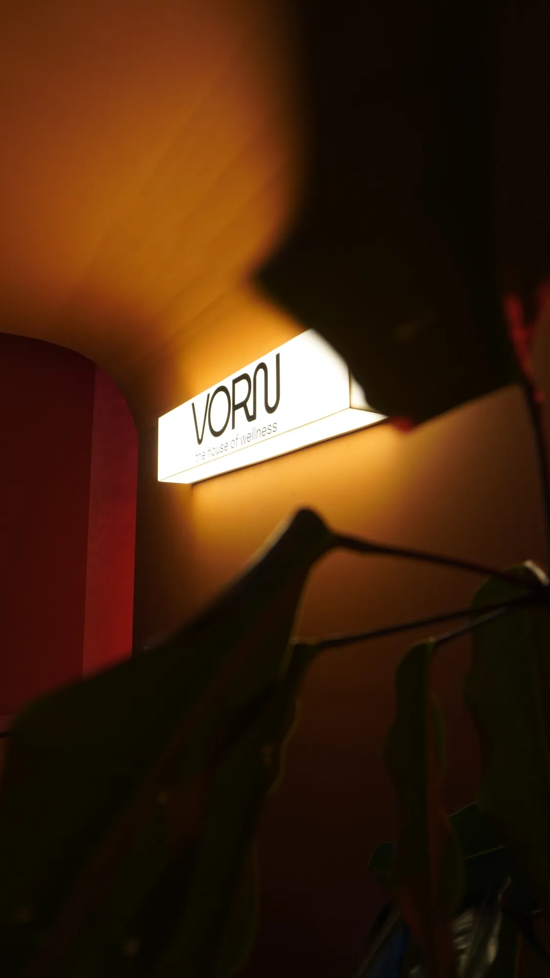 Vorn - The House of Wellness