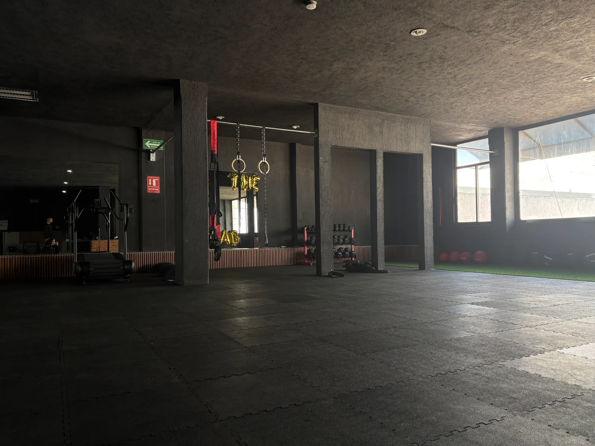 The Athletes Lab 