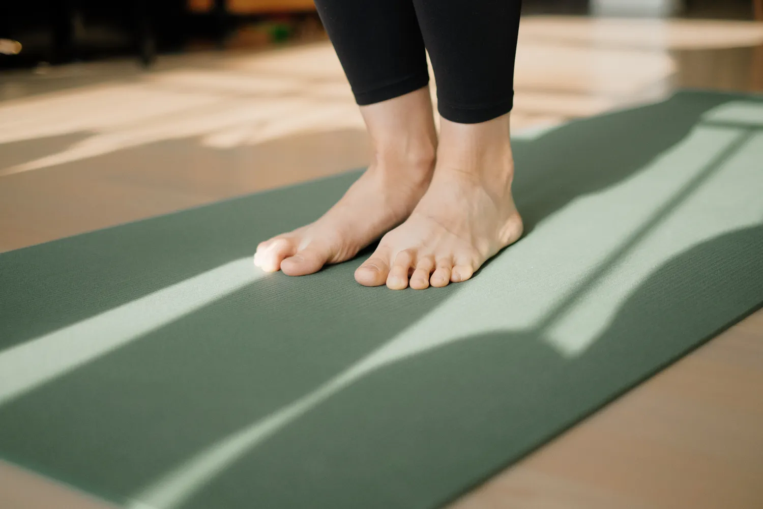 Contempobarre