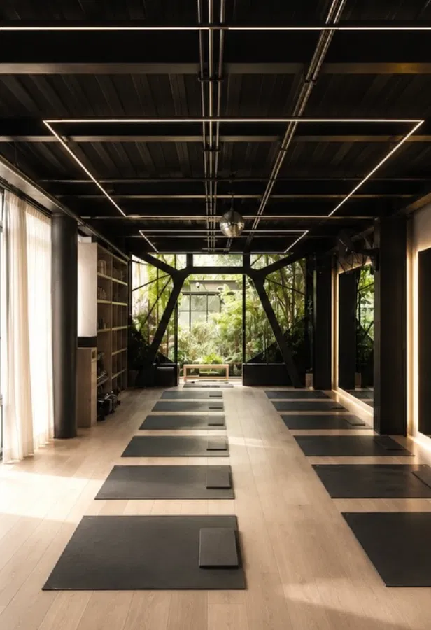Insight Studio