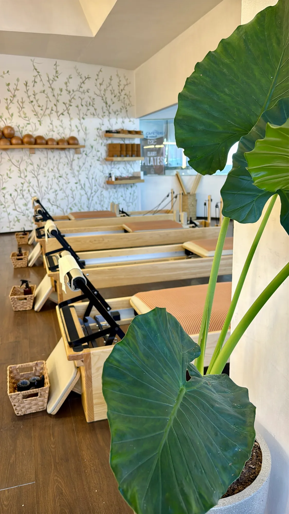 Moca Pilates Studio