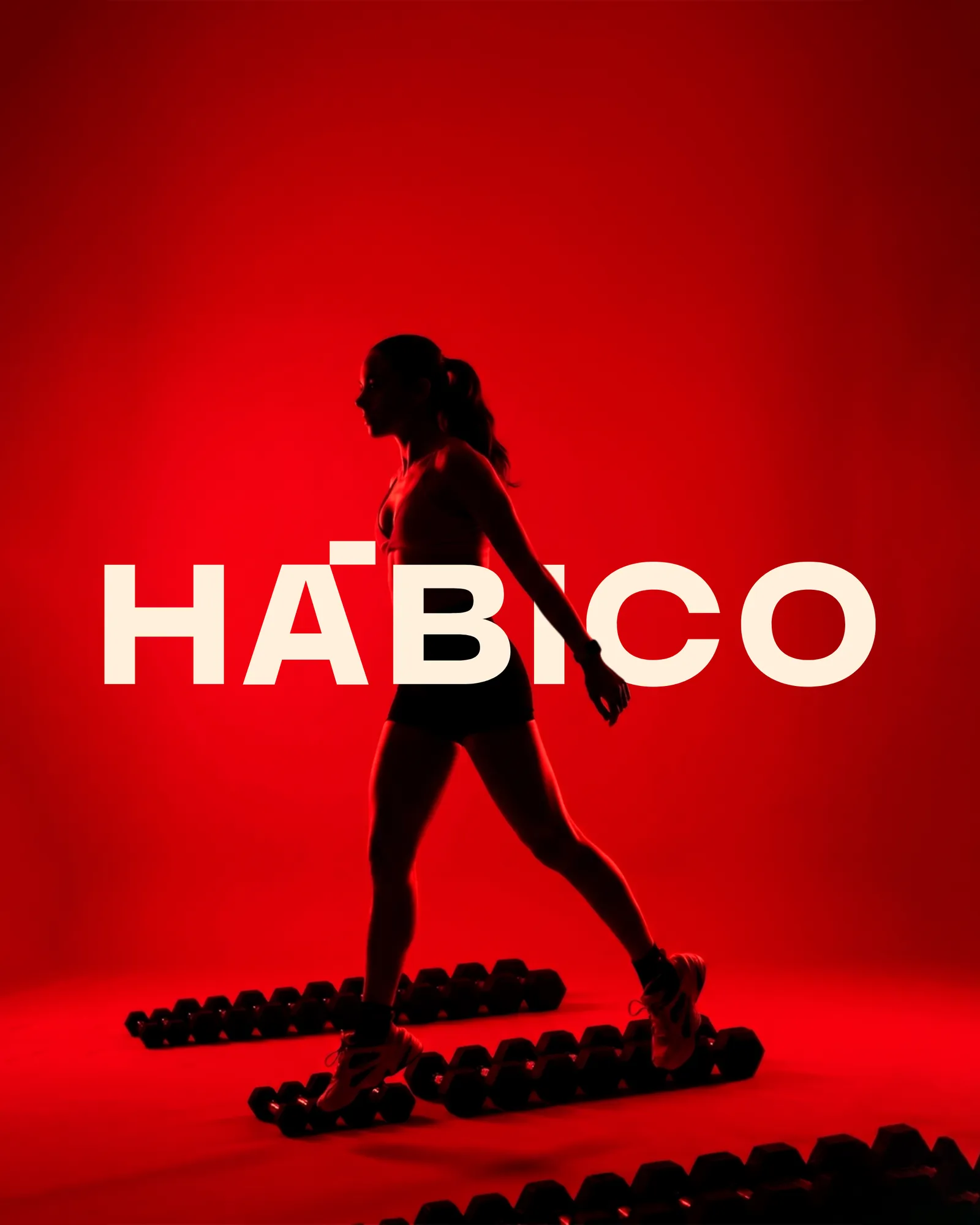 Hābico 